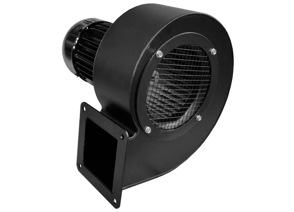 karl-klein-71096-1000