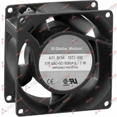 globe-motors-a31-b15a-15t2-000